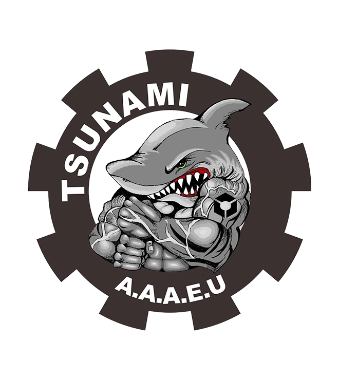 Tsunami - Engenharias - Unicentro